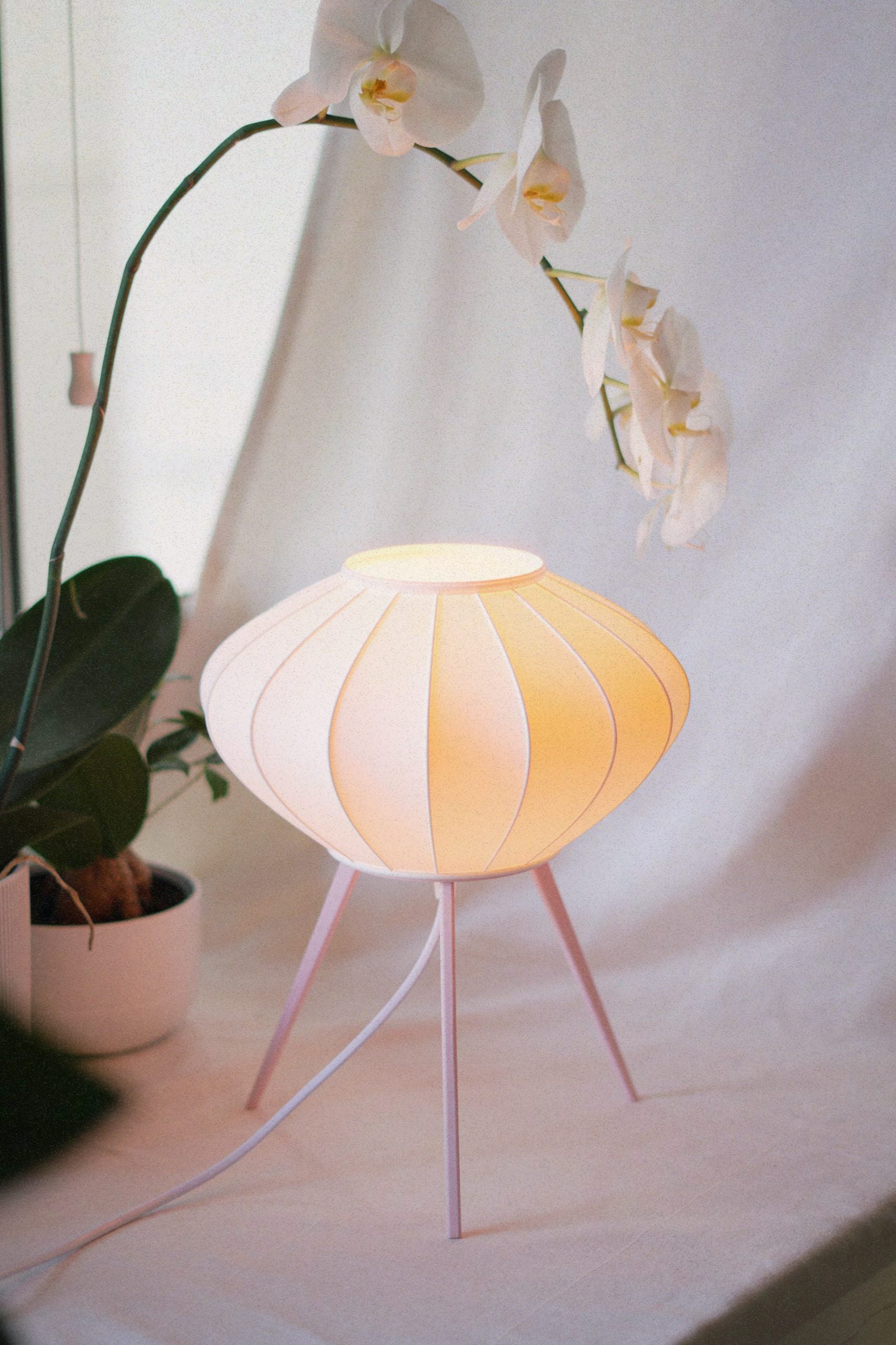 Corset Aire - Cottage Core Pink image