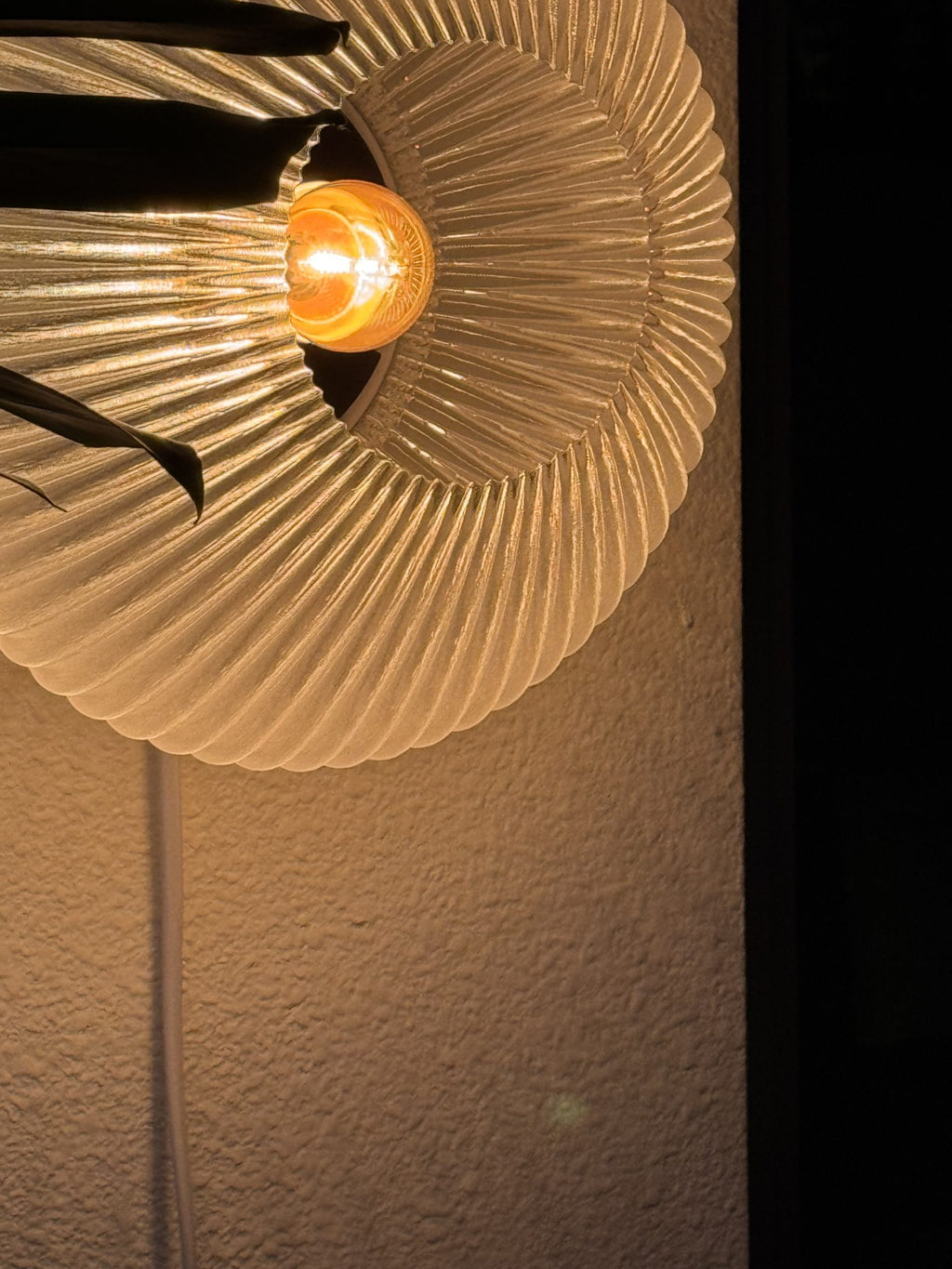 Lily Omni - Clear image