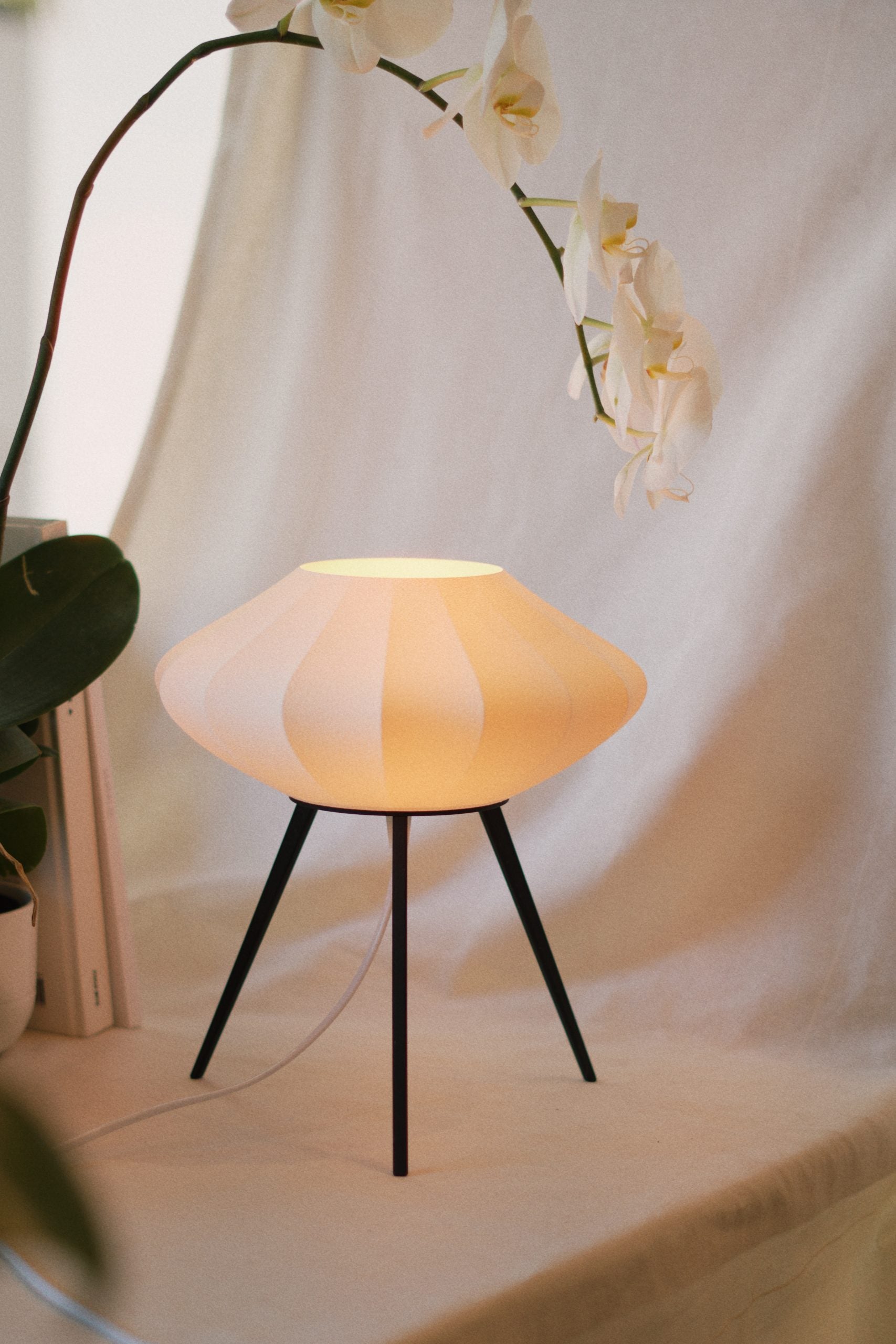 Wove Aire - Santal Ash image