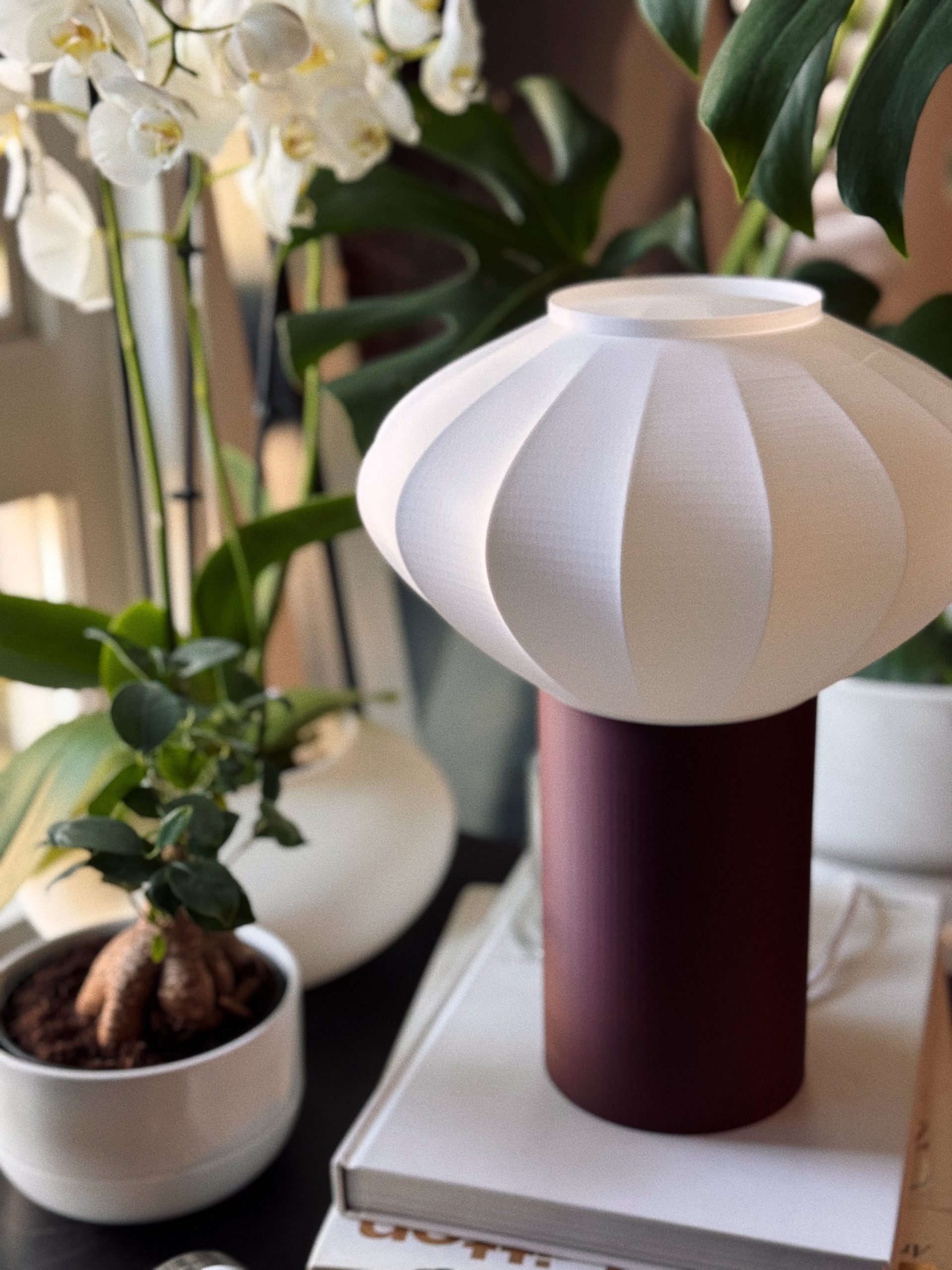 Lunnar Grande image 4